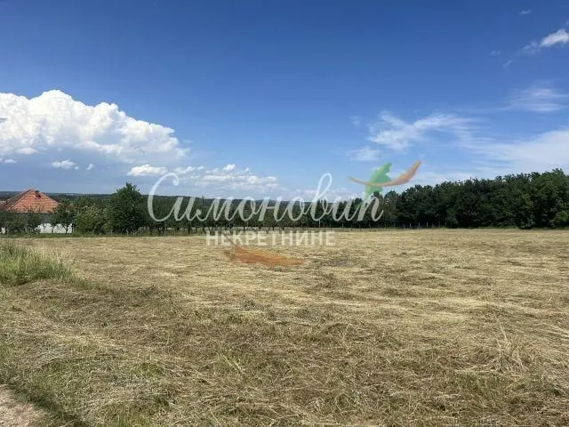 Prodaja, plac, 9000m², Arnajevo, Barajevo