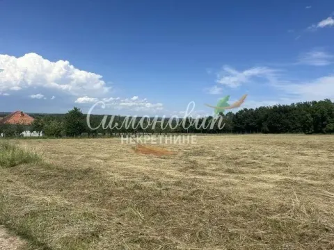 Prodaja, plac, 9000m², Arnajevo, Barajevo - image 2