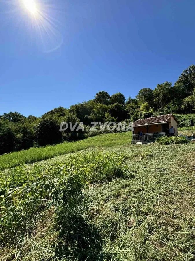 Prodaja, plac, 6000m², Čortanovci, Inđija