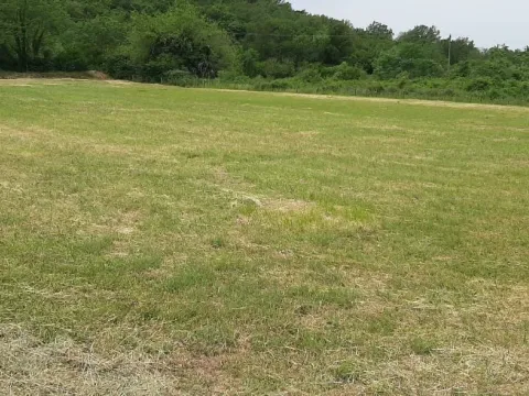 Prodaja, plac, 4380m², Radanovići, Kotor - image 8