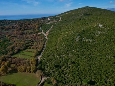 Sale, land lot, 1500m², Zagora, Kotor - image 15