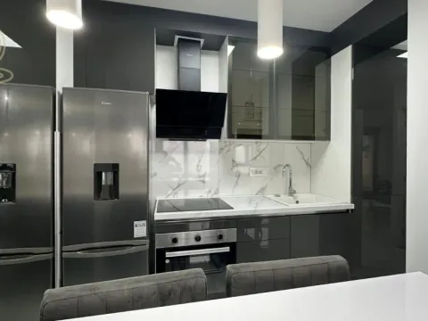 Izdavanje, dvosoban stan, 45m², Vračar Sve Podlokacije, Beograd - image 2