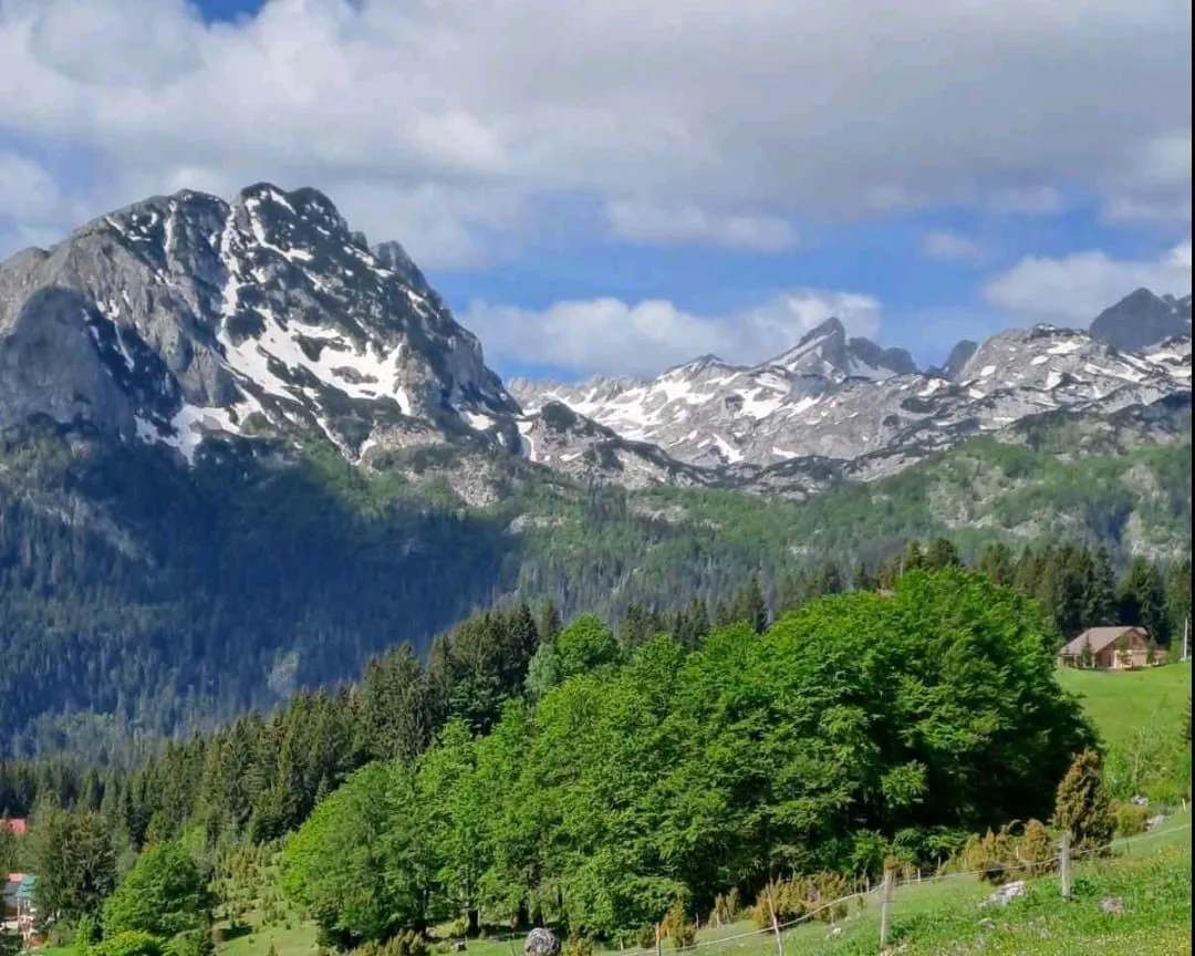 Prodaja, plac, 4406m², Pitomine, Žabljak