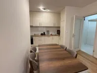 Izdavanje, jednosoban stan, 52m², Central Point, Podgorica - image 2