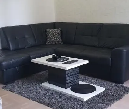 Izdavanje, jednosoban stan, 42m², Vračar Sve Podlokacije, Beograd - image 4