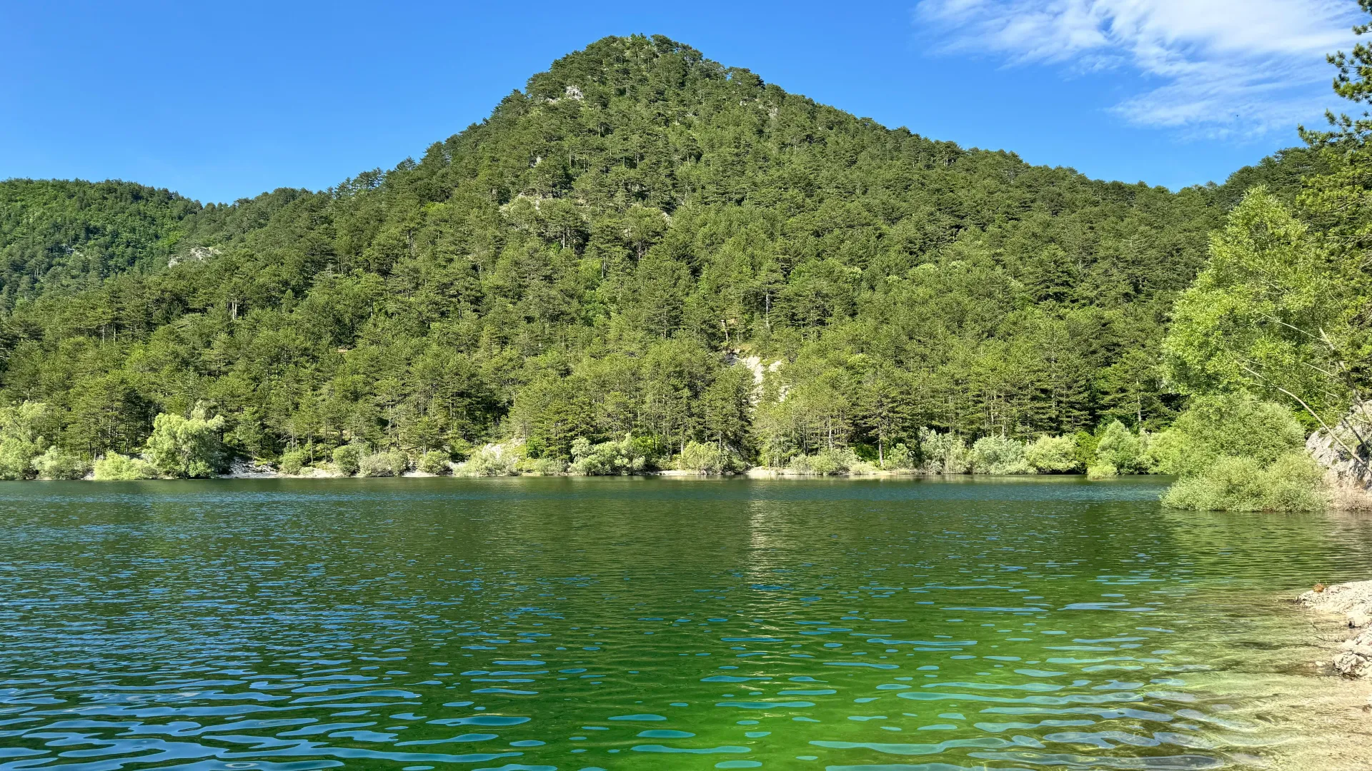 Prodaja, plac, 7000m², Grahovo, Nikšić