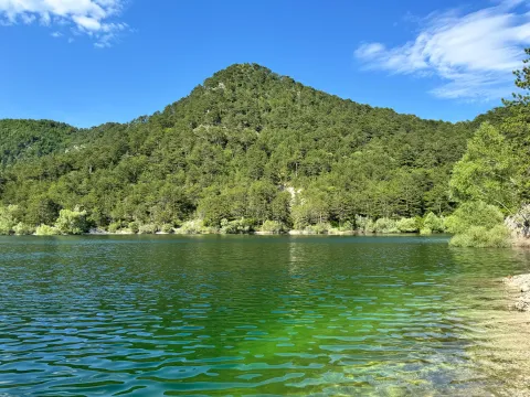 Prodaja, plac, 7000m², Grahovo, Nikšić - image 4