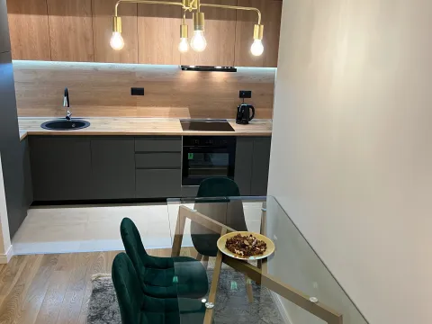 Rent, one bedroom apartment, 53m², Central Point, Podgorica - image 5