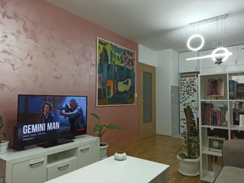 Prodaja, jednosoban stan, 45m², Stari Aerodrom, Podgorica - image 7