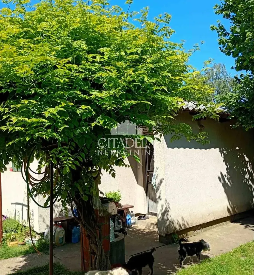 Sale, house, 225m², Surčin, Beograd