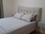 Izdavanje, jednosoban stan, 40m², Central Point, Podgorica - image 8