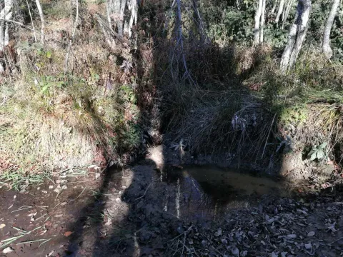 Prodaja, plac, 138000m², Kolašin, Crna Gora - image 7