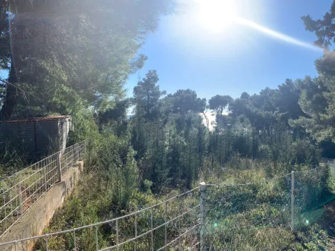 Prodaja, plac, 501m², Ratac, Bar - image 3