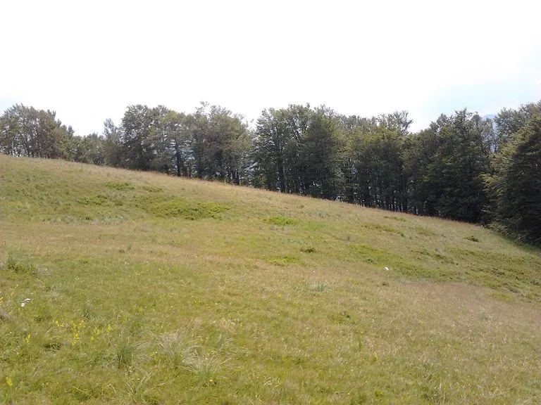 Prodaja, plac, 10000m², Kolašin, Crna Gora
