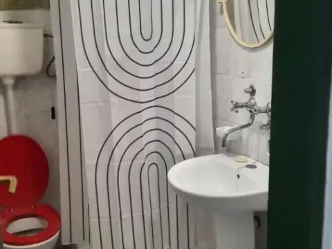 Rent, one bedroom apartment, 29m², Bulevar Oslobodjenja, Novi Sad Sve Podlokacije - image 13