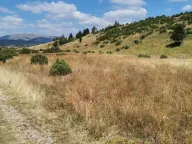 Sale, land lot, 36000m², Žabljak, Crna Gora - image 1