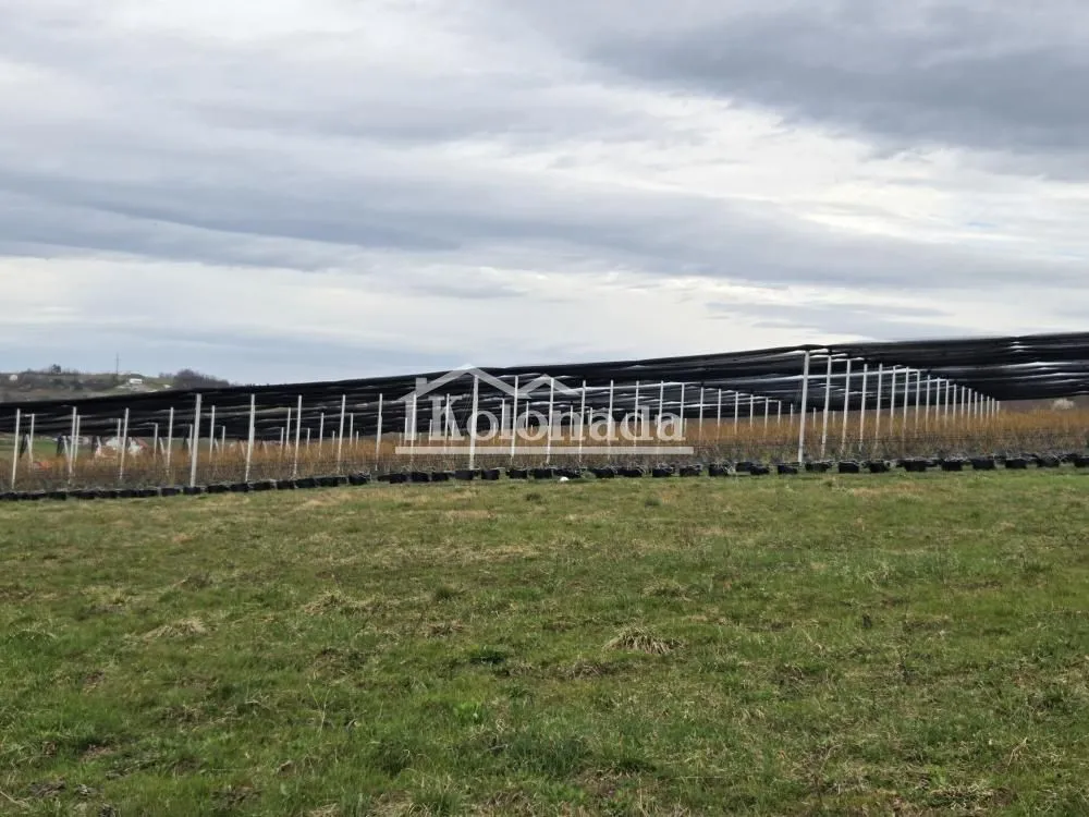 Prodaja, plac, 14500m², Sopot, Beograd