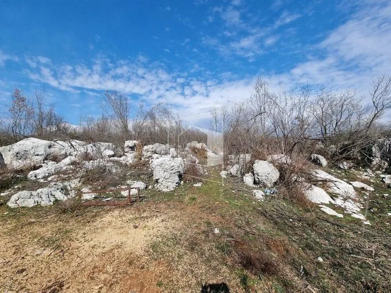 Prodaja, plac, 13500m², Bandići, Danilovgrad