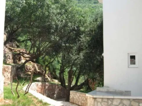 Prodaja, poslovni prostor, 137m², Petrovac, Budva - image 16