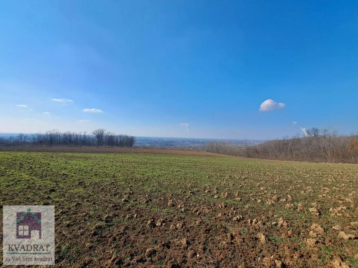 Prodaja, plac, 6300m², Mislodjin, Obrenovac