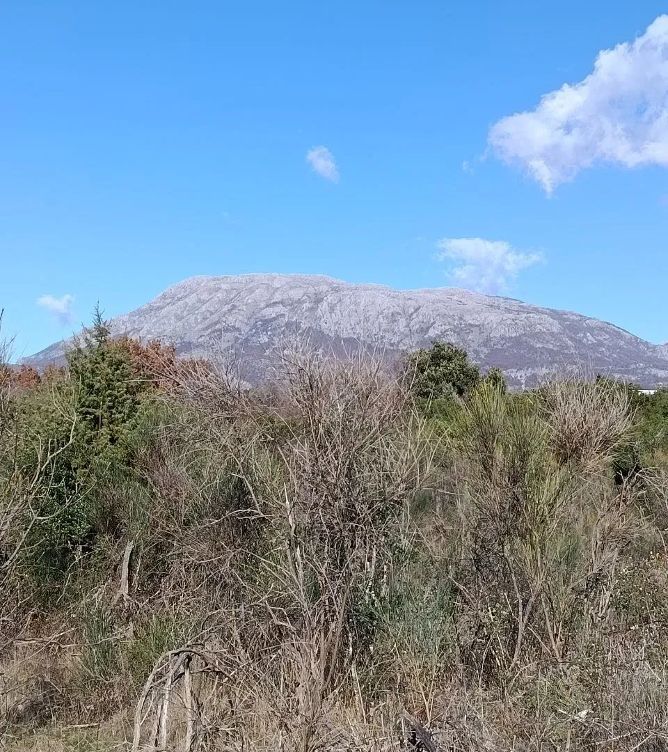 Prodaja, plac, 100076m², Kunje, Bar