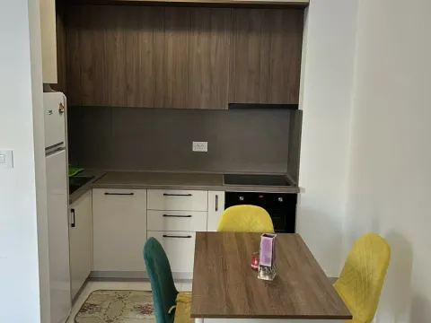 Izdavanje, jednosoban stan, 42m², Zabjelo, Podgorica - image 4