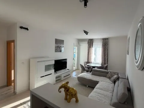 Izdavanje, jednosoban stan, 45m², Zabjelo, Podgorica - image 2