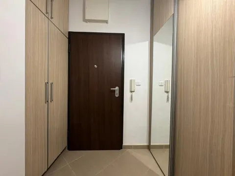 Rent, one bedroom apartment, 44m², Nova Dalmatinska, Podgorica - image 9