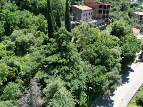 Prodaja, kuća, 500m², Petrovac, Budva - image 21