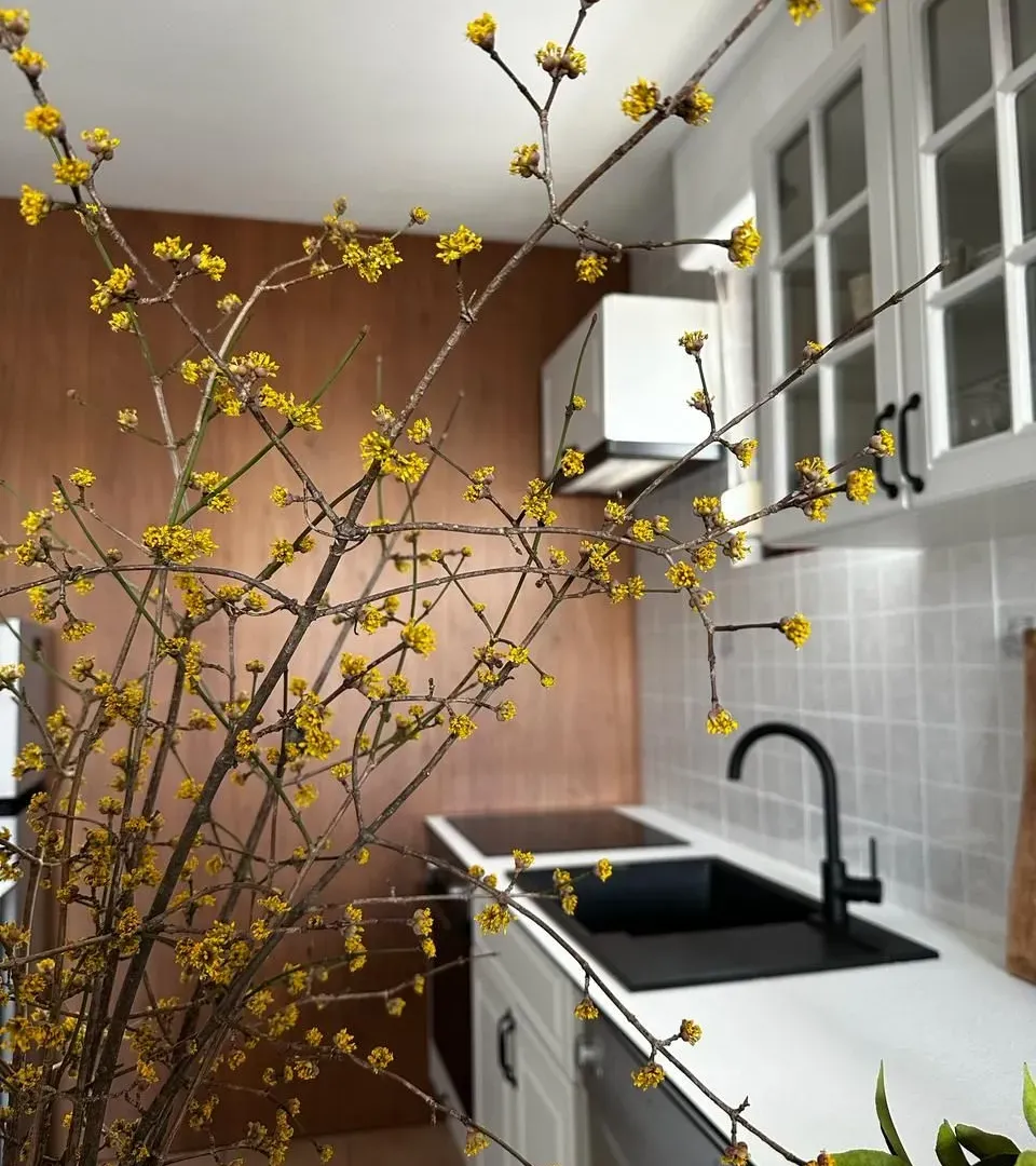 Rent, one bedroom apartment, 63m², Centar, Podgorica
