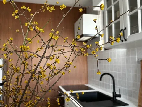 Izdavanje, jednosoban stan, 63m², Centar, Podgorica - image 6