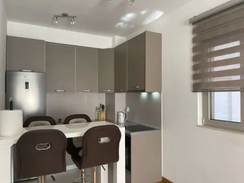 Rent, one bedroom apartment, 47m², Budva okolina, Budva - image 2