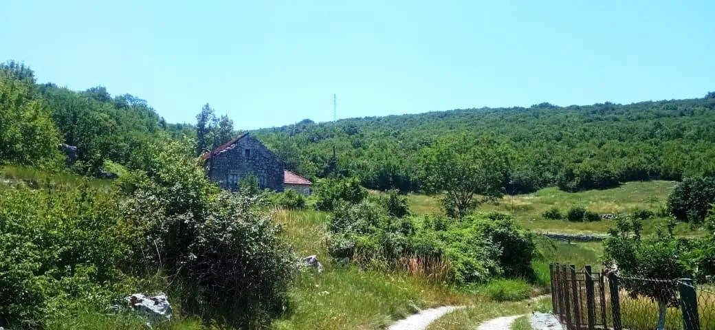 Prodaja, plac, 1500m², Ozrinići, Nikšić