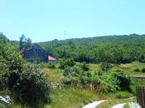 Prodaja, plac, 1500m², Ozrinići, Nikšić - image 14