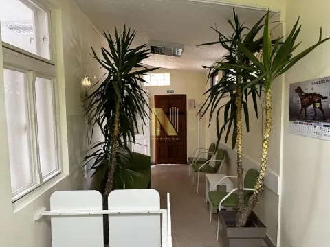 Izdavanje, poslovni prostor, 105m², Grbavica, Novi Sad Sve Podlokacije - image 2