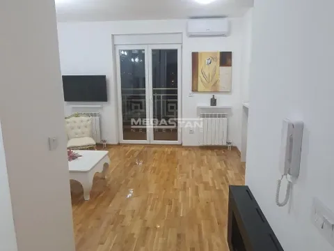 Izdavanje, dvosoban stan, 50m², Hala Pionir, Palilula Sve Podlokacije - image 12