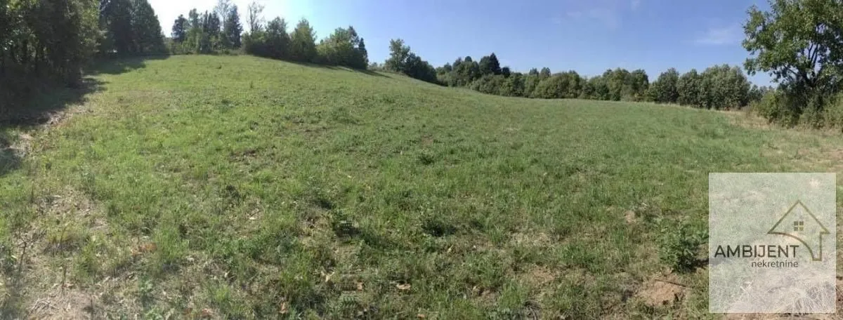 Pogled na zelenu livadu okruženu drvećem i rastinjem.