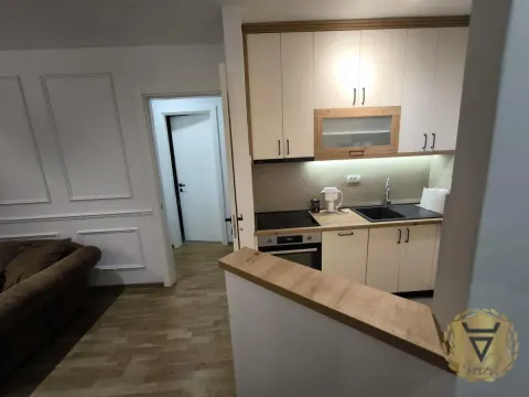 Rent, three bedroom apartment, 60m², Južni Bulevar, Vračar Sve Podlokacije - image 6