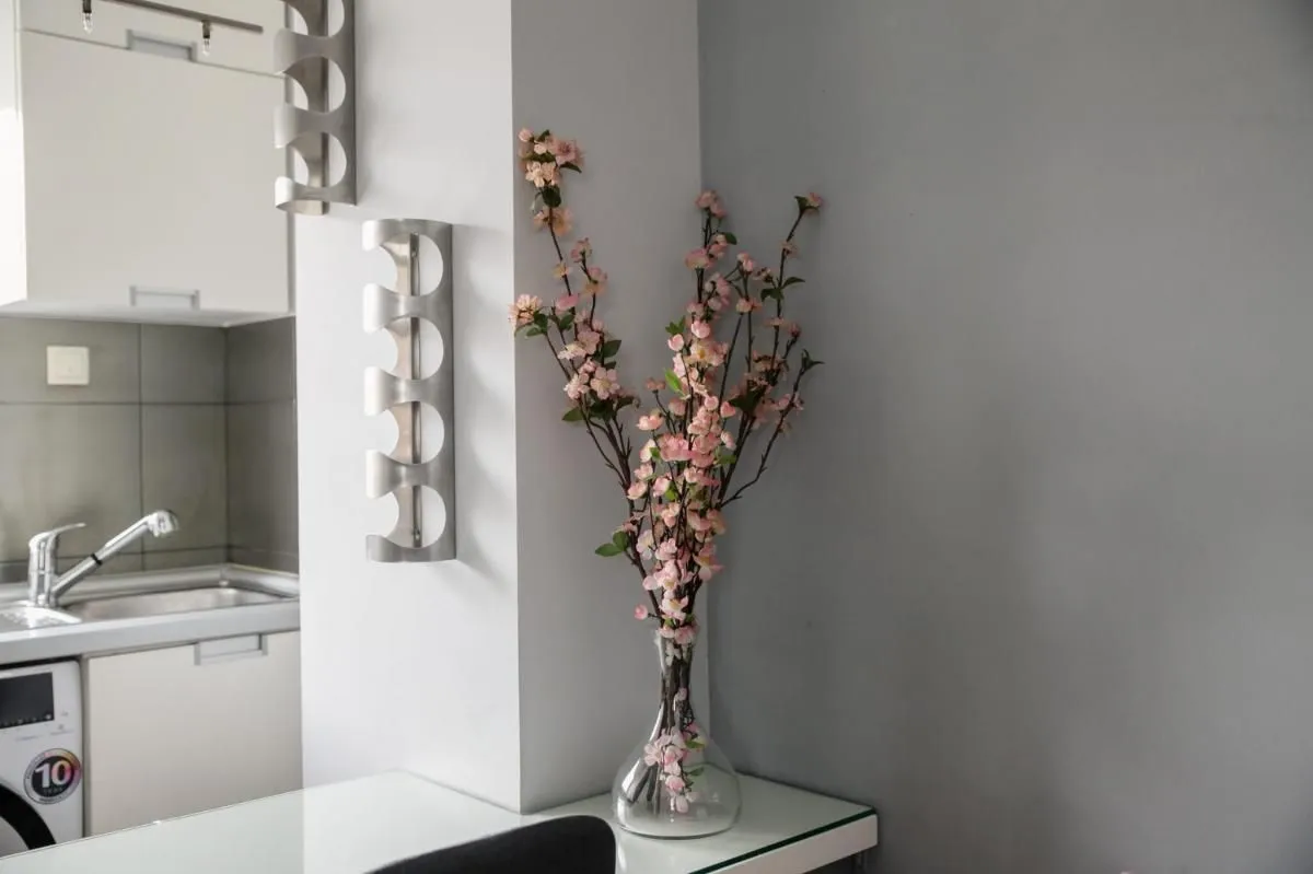 Prodaja, dvosoban stan, 49m², Centar, Novi Sad