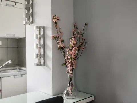 Prodaja, dvosoban stan, 49m², Centar, Novi Sad - image 4