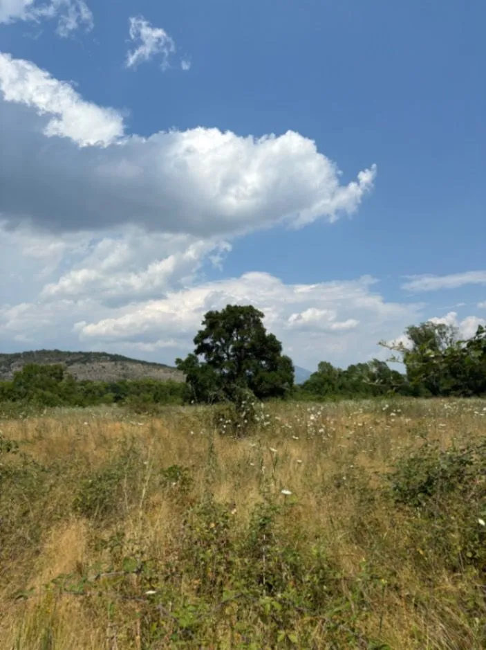 Sale, land lot, 1820m², Komani, Podgorica