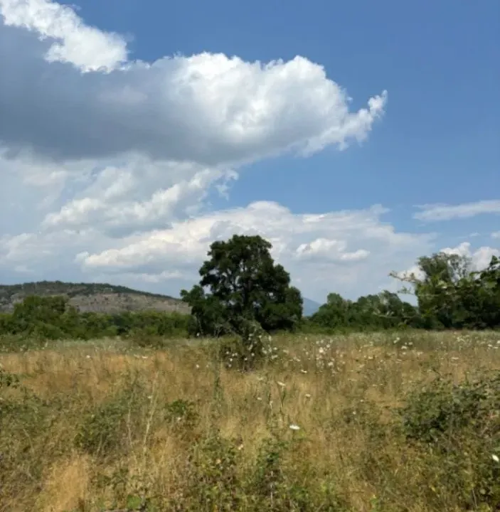 Sale, land lot, 1820m², Komani, Podgorica