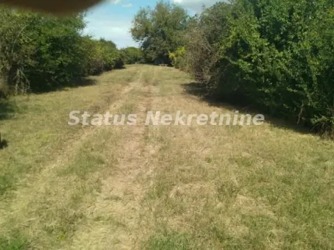 Sale, land lot, 22m², Begeč, Novi Sad Sve Podlokacije