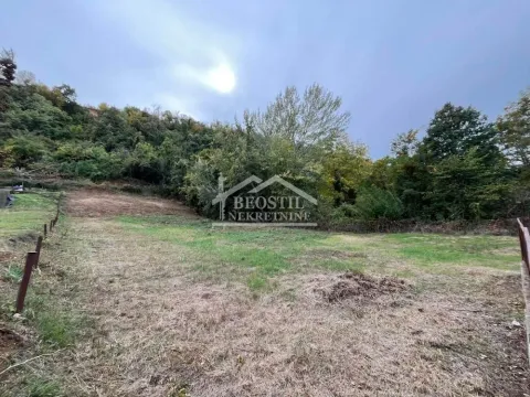 Pogled na zeleno dvorište i plac sa drvećem. - image 3