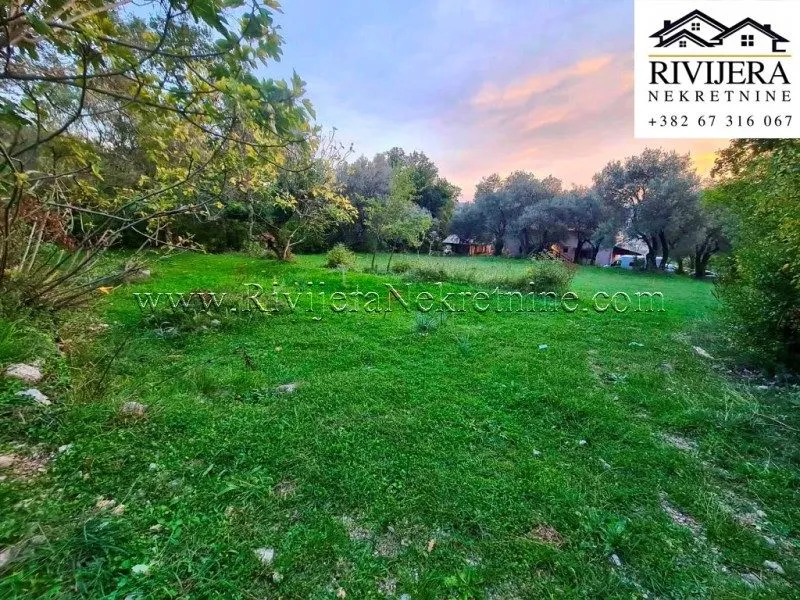 Prodaja, plac, 2171m², Kavač, Kotor