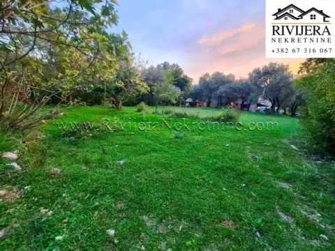 Prodaja, plac, 2171m², Kavač, Kotor - image 2