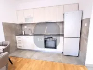 Rent, one bedroom apartment, 48m², Zabjelo, Podgorica - image 3