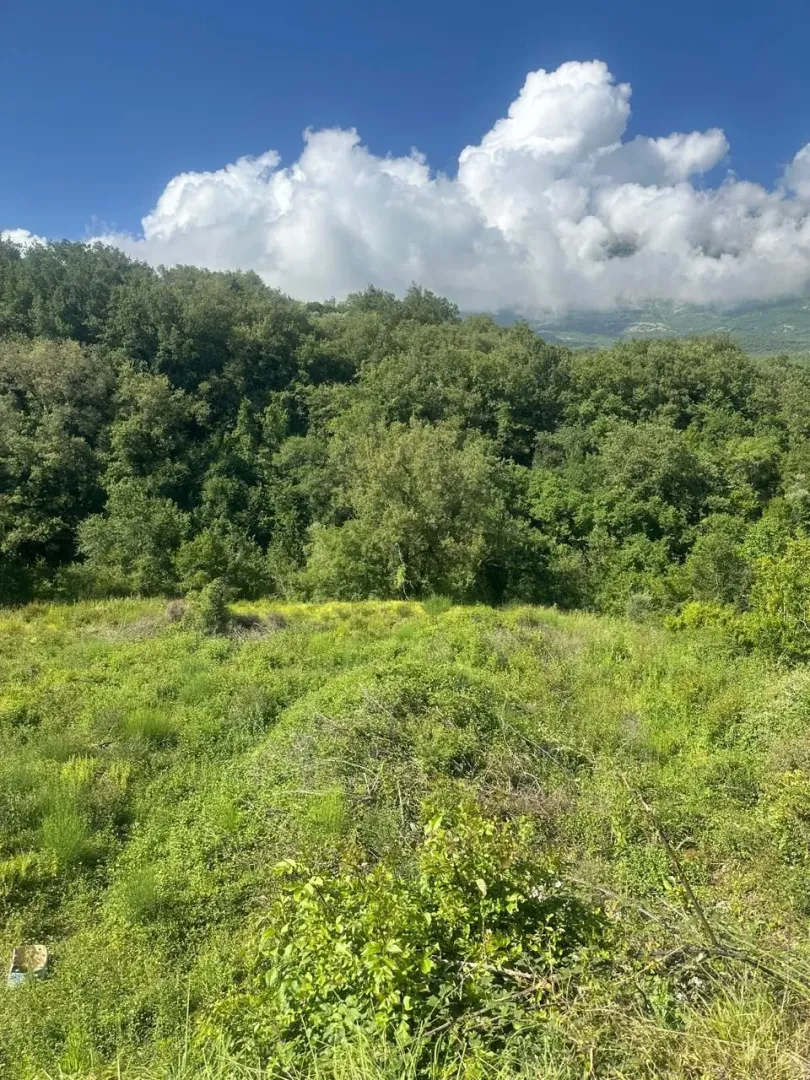 Prodaja, plac, 2420m², Šišići, Kotor