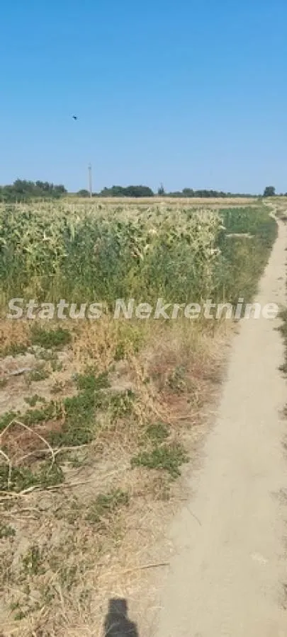 Prodaja, plac, 2200m², Futog, Novi Sad Sve Podlokacije