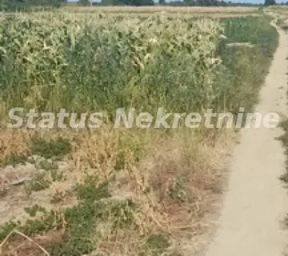 Sale, land lot, 2200m², Futog, Novi Sad Sve Podlokacije - image 5